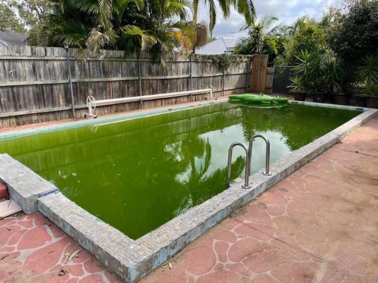 Holland Park pool before renovation